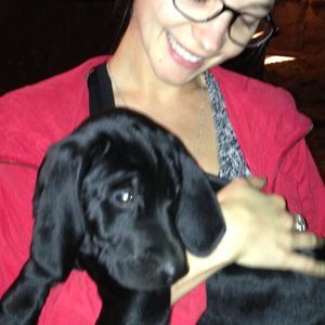 Meet your Posher, Frances